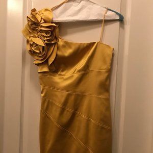 Jessica Simpson form fitting vibrant knee length formal dress!